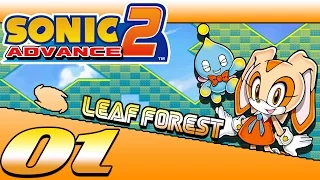 Cream & Cheese - Sonic Advance 2: Leaf Forest