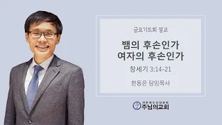 뱀의 후손인가 여자의 후손인가ㅣ창세기 3:14~21ㅣ한동은 담임목사ㅣ주님의교회