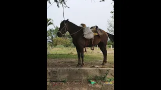 Un campesino confronta a un estafador.