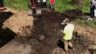 Mastodon remains found on Michigan’s west side