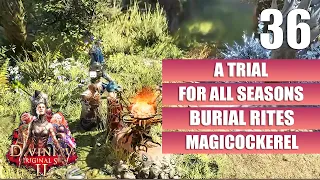 Divinity Original Sin 2 [A Trial for All Seasons - Burial Rites] Gameplay Walkthrough [Full Game]