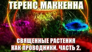 Теренс МакКенна - Священные Растения Как Проводники, Часть 2