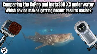 What's best underwater: The GoPro or the Insta360 X3?  My results and conclusions