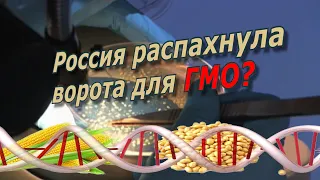 Зачем Россия распахнула ворота для ГМО? / @amamontov
