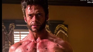 Wolverine one last time