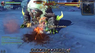 Dragon Nest Sea Ice dragon 4man HC stage 1