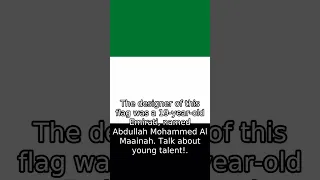 United Arab Emirates - Flag Explained