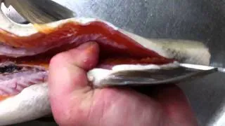 How to Clean and Prepare a Lake Brunner Brown Trout - Part 5