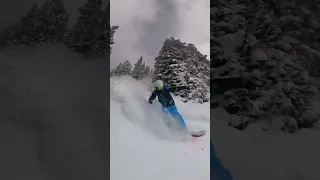 Dream Powder Line