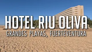 Riu Oliva Beach Resort, Fuerteventura | Grandes Playas | Restaurants | Room
