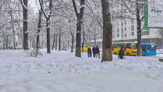 «Сніг кружляє»