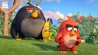 The Angry Birds Movie 2 | A Truce | Cartoon For Kids