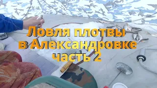 Рыбалка в Александровке #2. Ловля плотвы (сорожки) зимой на балансирный кивок Щербакова