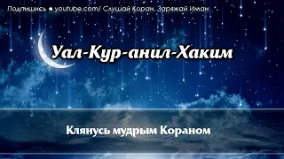 Сура ясин спокойствие на всю ночь и легкость с утра спокойный ночи праведных снов