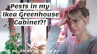 Ikea Greenhouse Cabinet Update | Treating Pests #PlantParentProblems