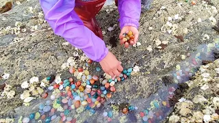 After the typhoon, the beach is full of gems and seafood