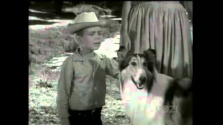 Lassie - Episode #294 - "The Desperate Search" - Season 9, Ep. 3 - 10/14/1962