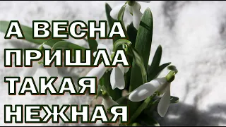 А весна пришла такая нежная. Лучшие христианские песни.