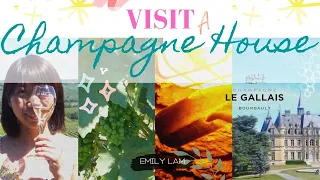 Visit a Champagne house! | booking a Champagne tour (Eng/Chinese Sub)