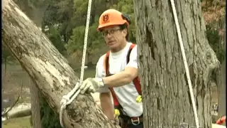 Natural-Crotch Rigging