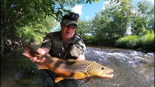 FISHING For Big Wild Brown Trout In Small PA CREEKS