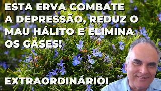 Esta erva combate a depressão, elimina os gases e reduz o mau hálito! | Dr. Marco Menelau