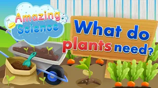 Amazing Science | What do plants need | Science for Kids | Easy Science