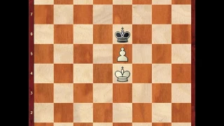 Шахматы - 100 теоретических эндшпилей. Уровень 1. 22 окончания для 1 разряда