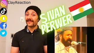 🇨🇦 CANADA REACTS TO Sivan Perwer - Hevale Bar Giranim Translation #Kurdi #ŞivanPerwer