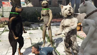 Cats VS Dogs - Hood Safari Mission in GTA 5