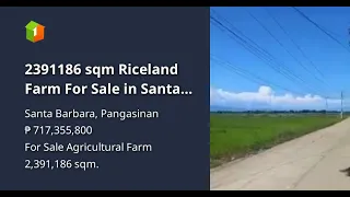 2391186 sqm Riceland Farm For Sale in Santa Barbara Pangasinan