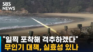 "일찍 포착해 격추하겠다" 군 무인기 대책, 실효성 있나 / SBS