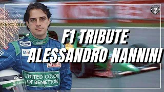 F1 Tribute Alessandro Nannini