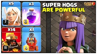 Th14 SUPER HOGS Are Most Powerful | Best Town Hall 14 Attack Strategy (Clash of Clans)