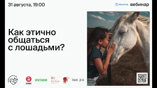 Как этично общаться с лошадьми?