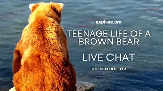 Teenage Life of a Brown Bear | Brooks Live Chat