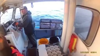 lobster fishing nova scotia