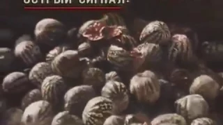 1989 год. В Астраханской области уничтожают урожай арбузов.