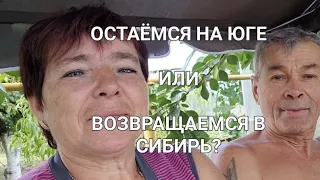 88ч🌹Что решили?Чем занимаемся?Подали объявление/