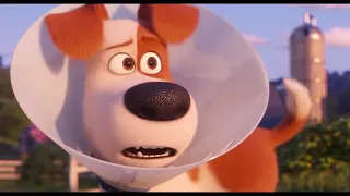 Тайная жизнь домашних животных 2 6+ сельский трейлер 7 The Secret Life of Pets 2