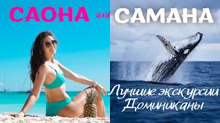 Саона Самана Доминикана и горбатые киты 2022