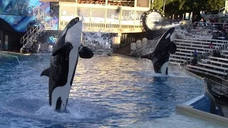 One Ocean (Full Show) at SeaWorld San Diego 12/12/15