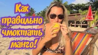 ТАЙЛАНД 2023! Как правильно чмоктать манго🥭🏖#тайланд #панган #пхукет #манго