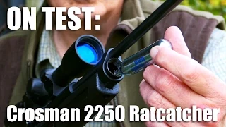 Crosman 2250 Ratcatcher airgun on test