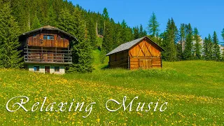 Soothing Music for Relaxing • Stress Relief Music, Study Music, Healing Music, Sleep Music #19