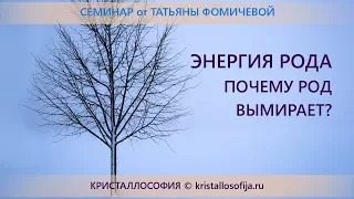 Энергия Рода: почему род вымирает?