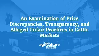 An Examination of Price Discrepancies, Transparency, and Alleged Unfair Practices in Cattle Markets