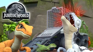 Baby Raptor Roundup | Jurassic World | @ImaginextWorld