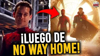 ¿Qué PASÓ con el SPIDER-MAN de TOBEY al REGRESAR a su UNIVERSO? | Curiosidades No Way Home | #Short