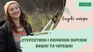 Стереотипи і Помилки Обрізки Вишні та Черешні. Як Зібрати Хороший Урожай?